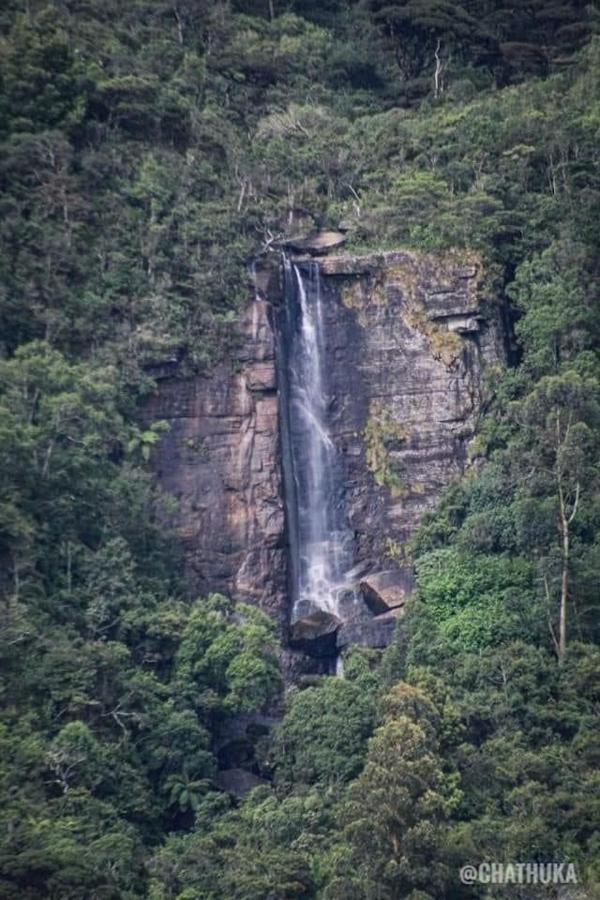 The Paulwood Home Cabin Nuwara Eliya Luaran gambar